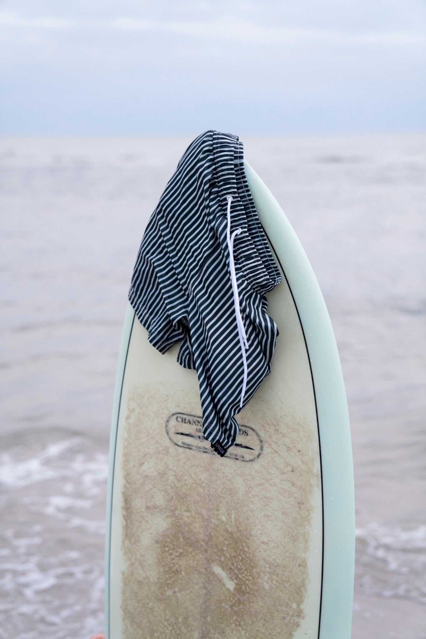 Sailor Swim Shorts (Green)