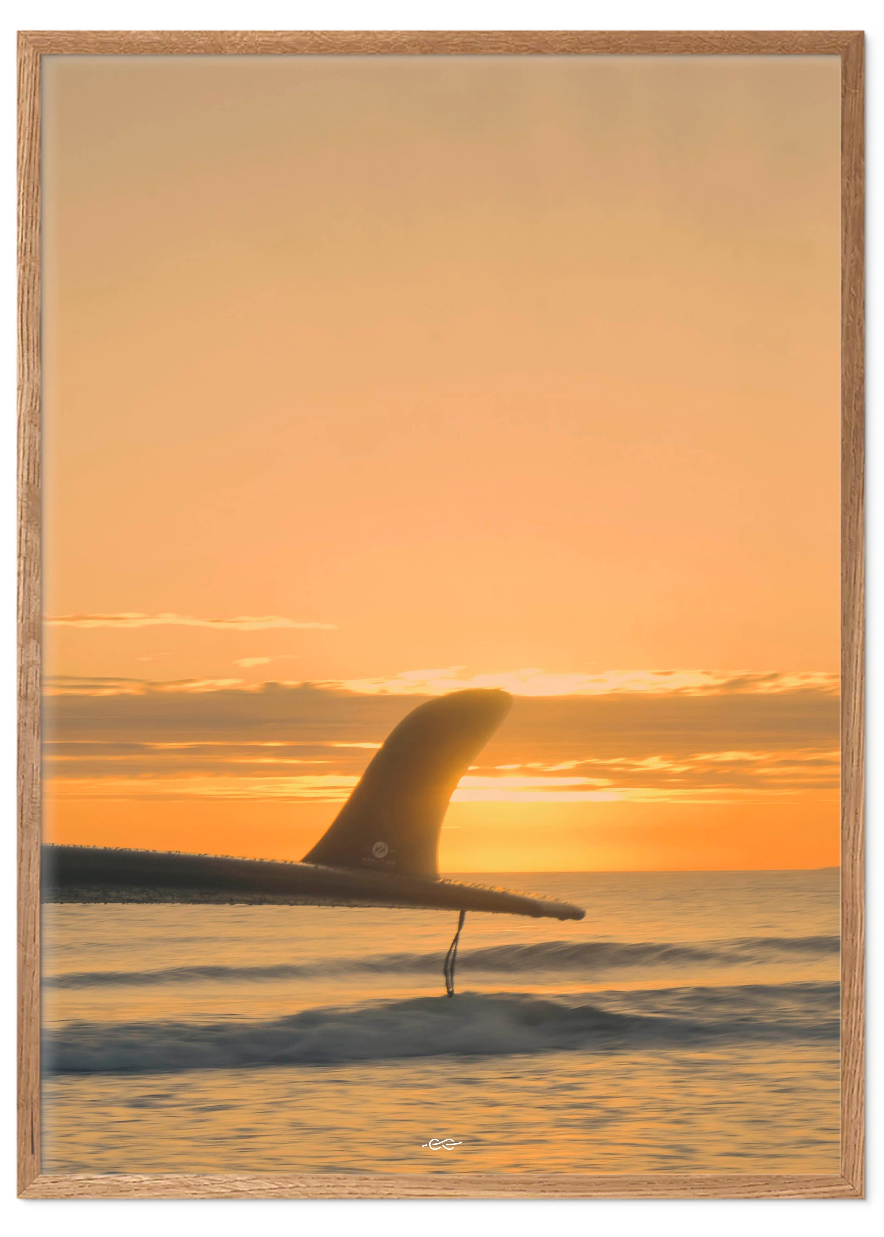Sunset Fin 50x70 - Poster