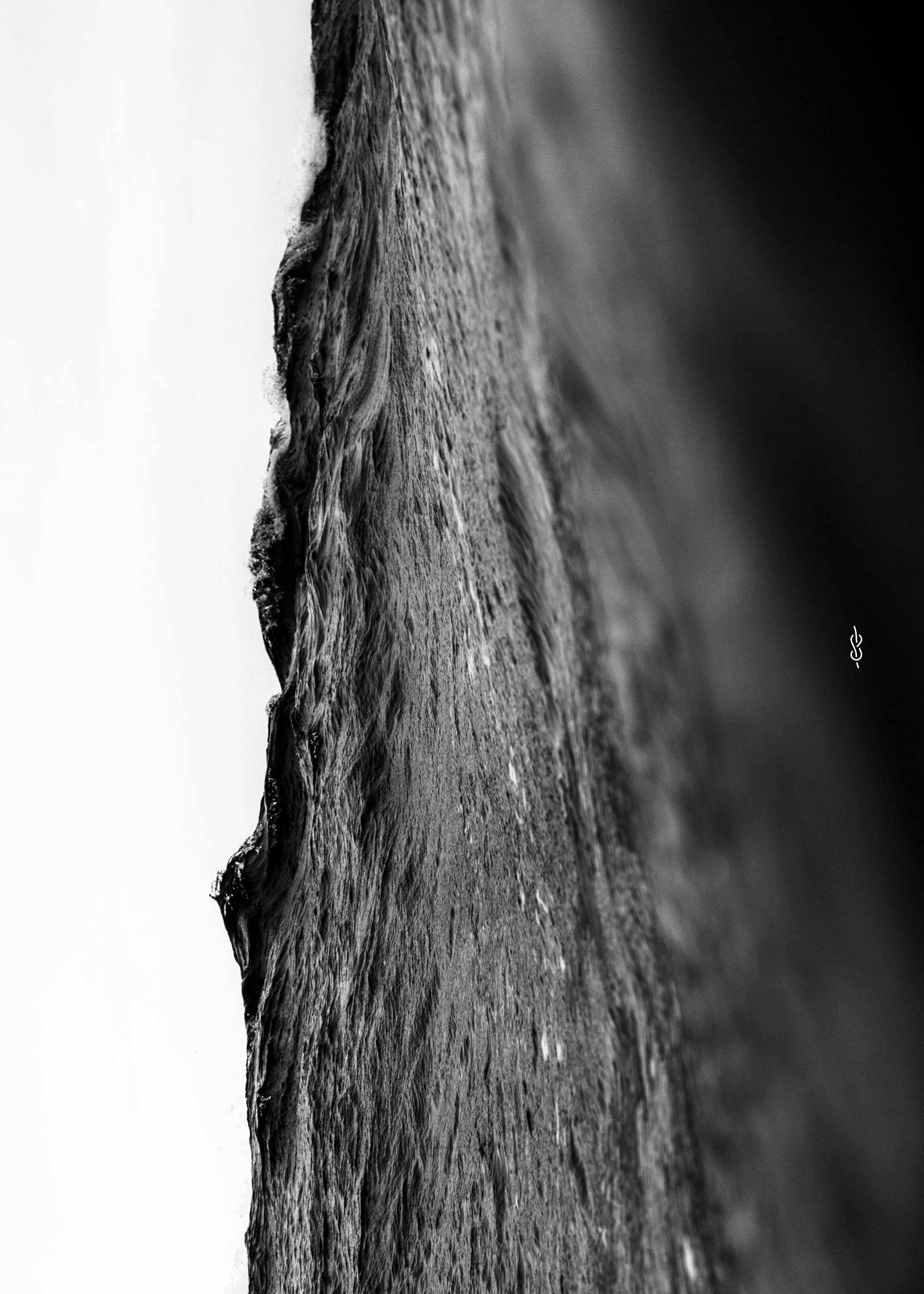 Surface Bw 50x70 - Poster