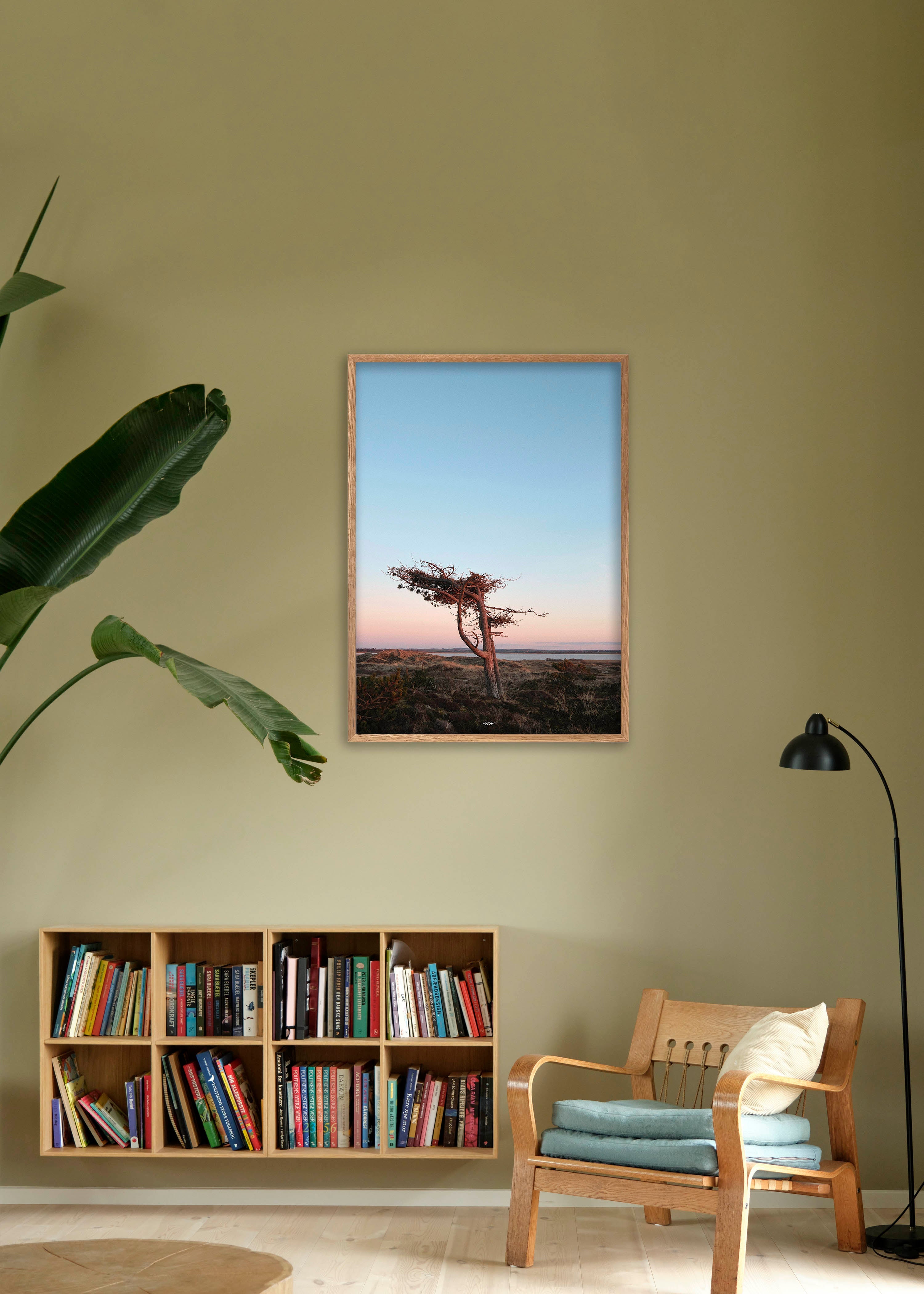 Tree 50x70 - Poster