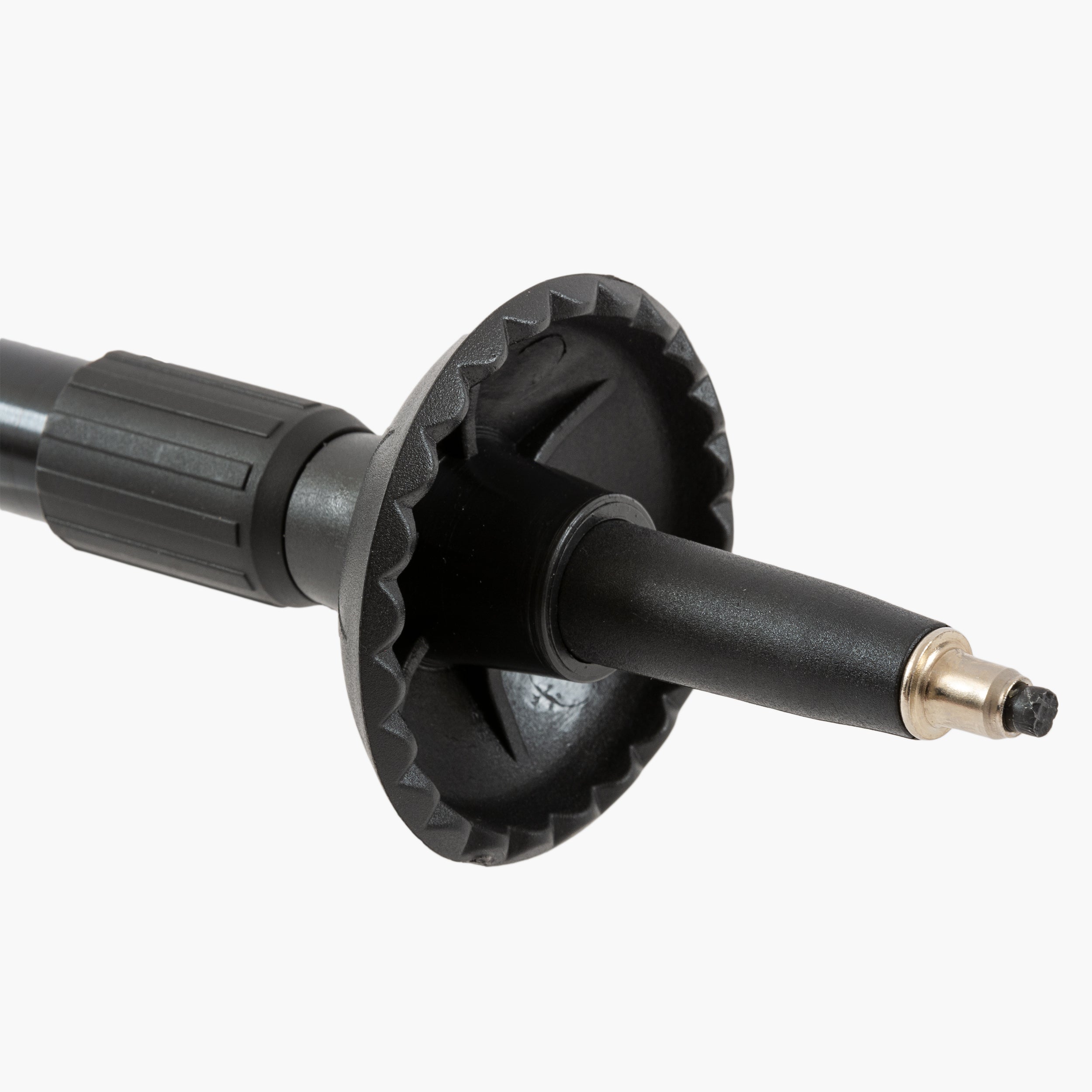 Highlander - Isle of Tiree Walking Stick