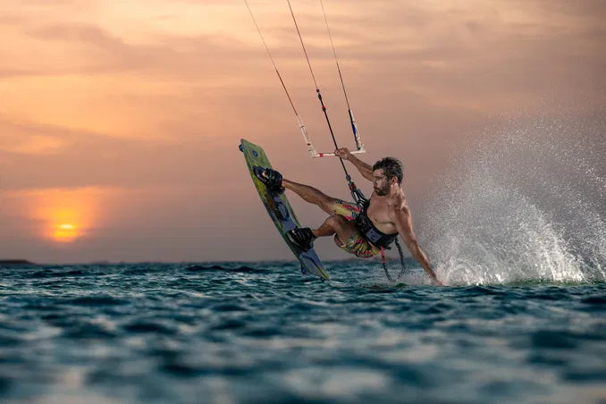 Entity Ergo 2026 Polster und Gurte