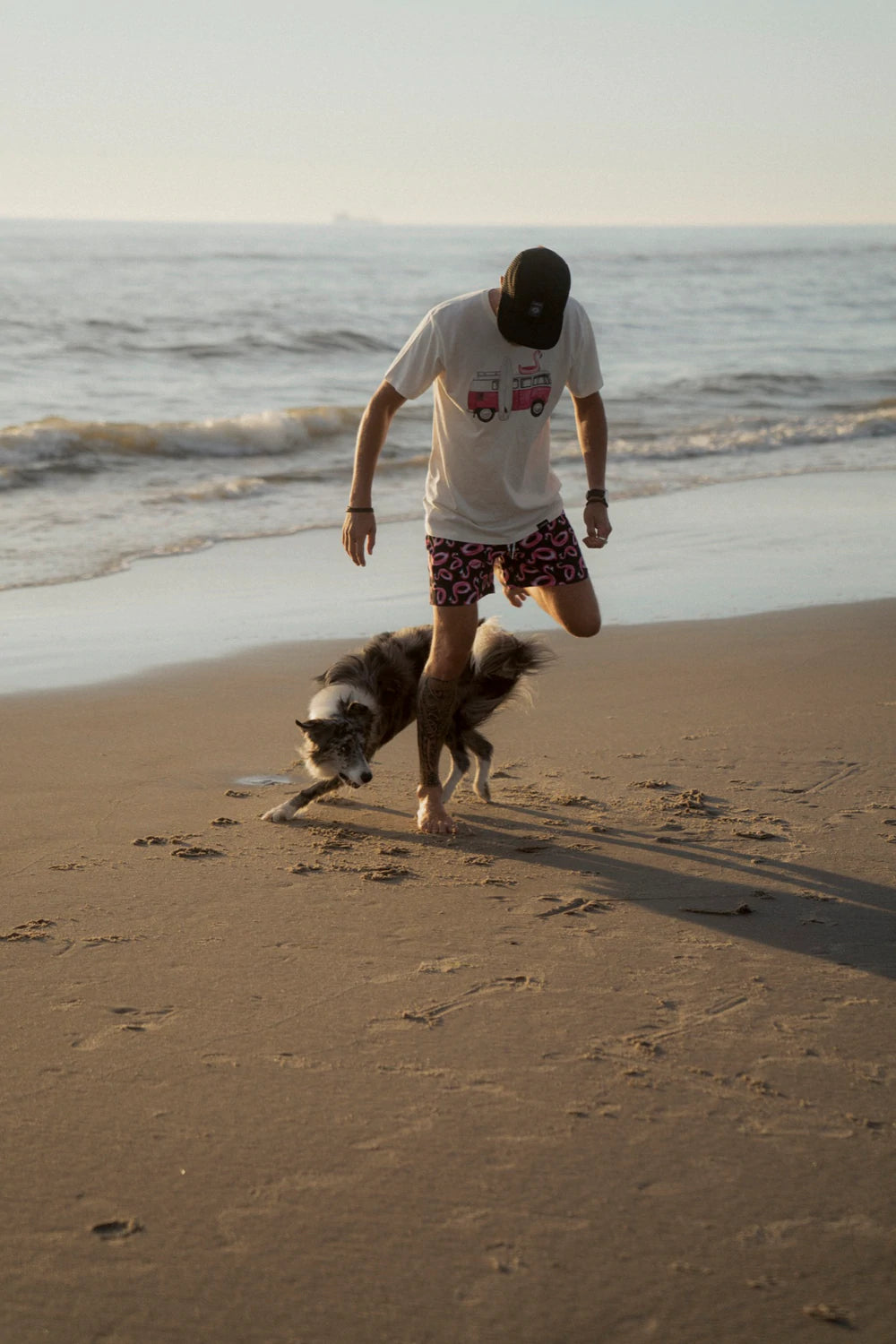 Flamingo Lacor - puffin shorts