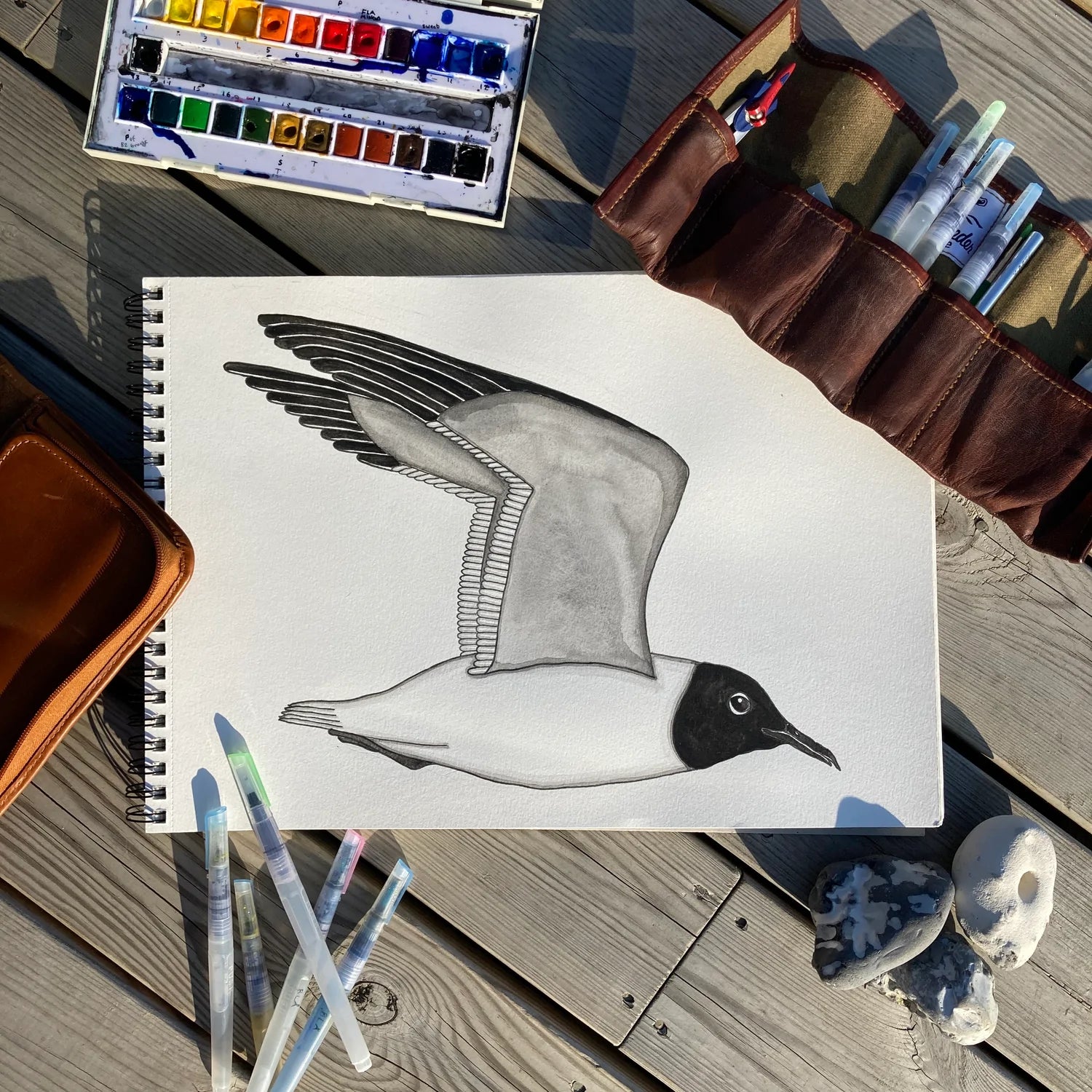Lakor - hooded seagull Emaljekrus