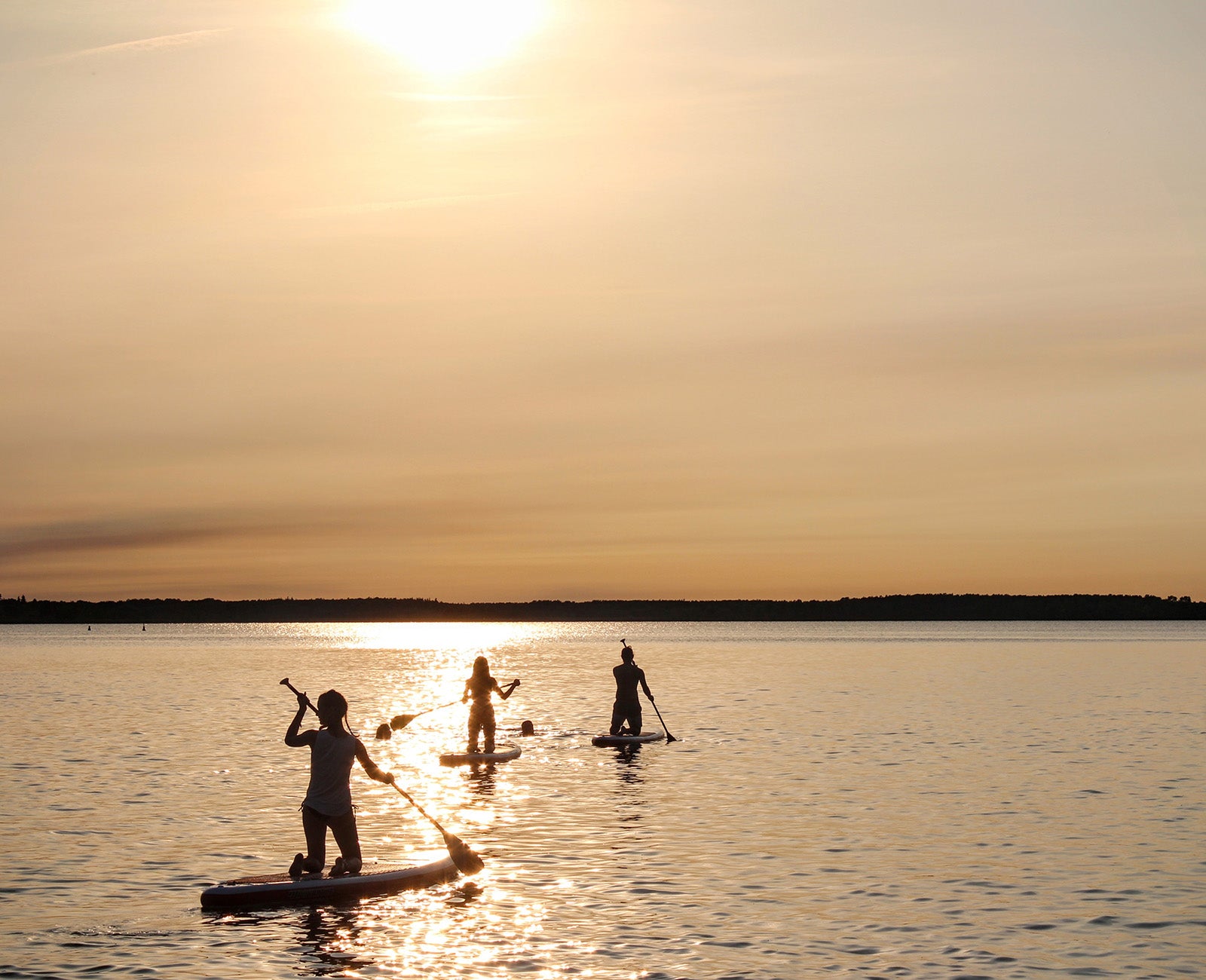 SUP Rental Copenhagen