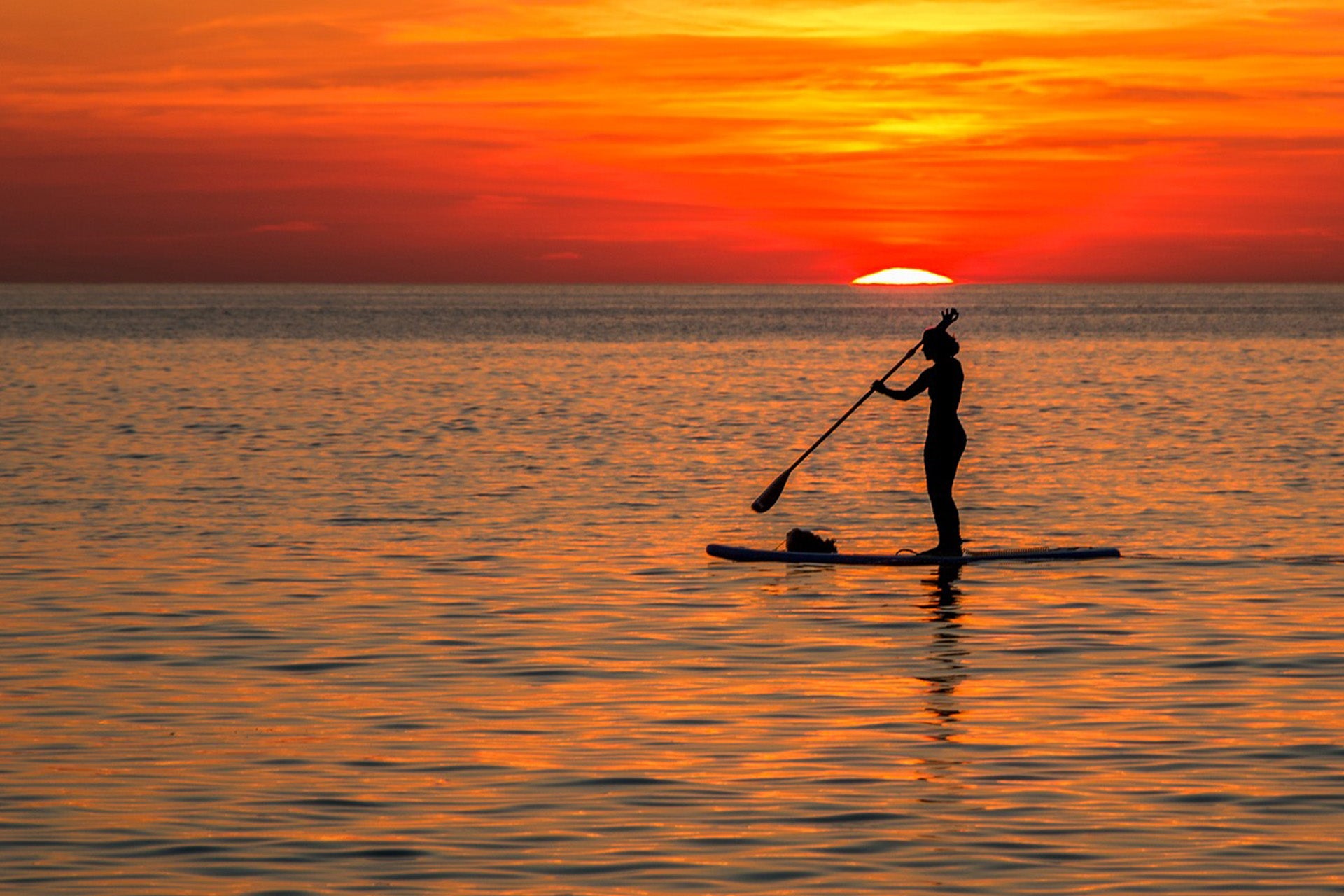 SUP Rental Copenhagen