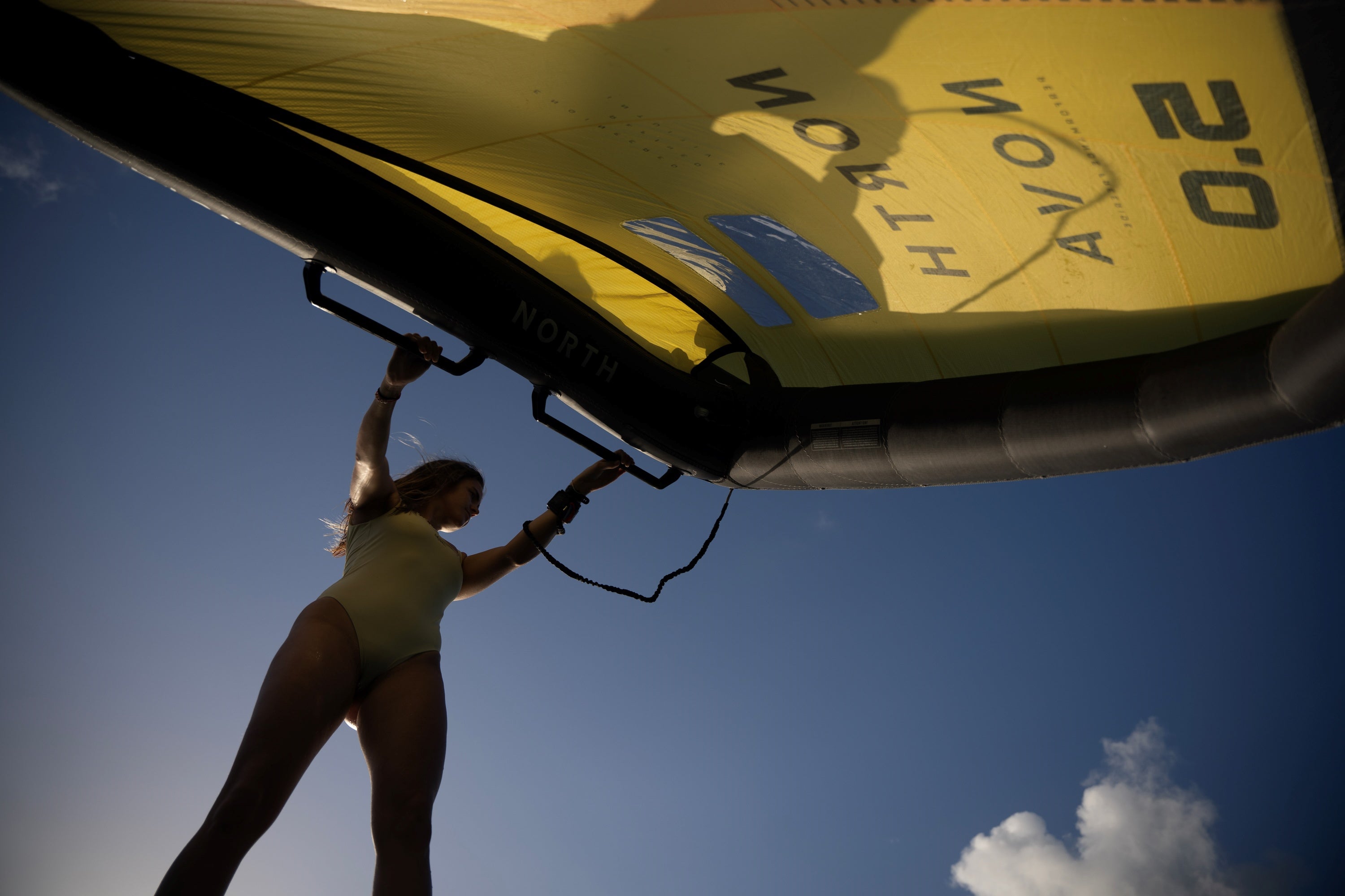 Wing Handle - Carbon