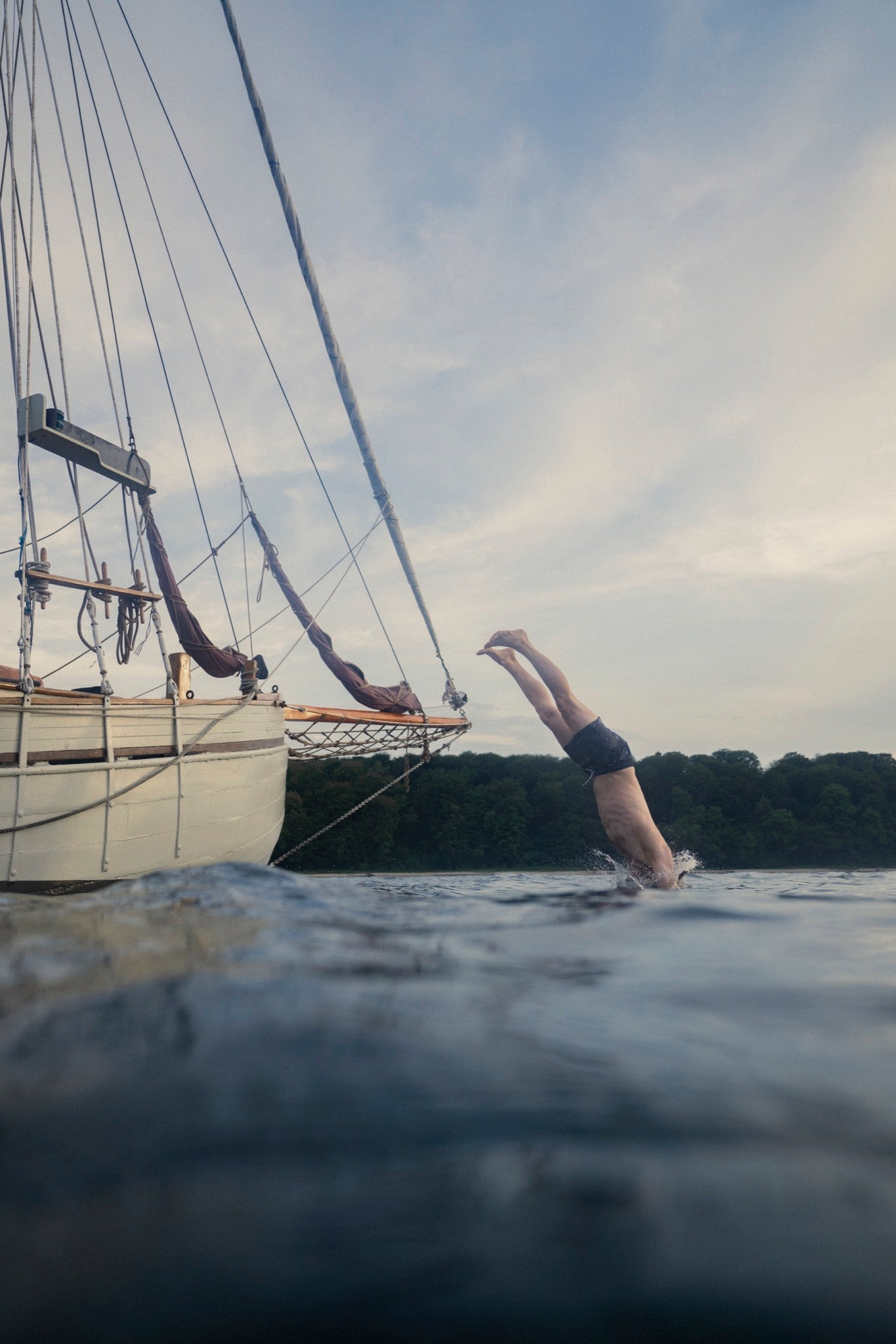 Tattoo Shorts (Blueberry) 