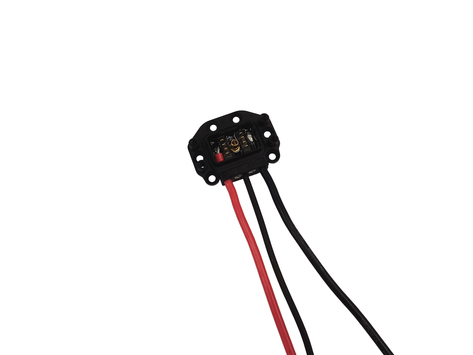 Cruise Male Connector With Cables Top Plate (only)