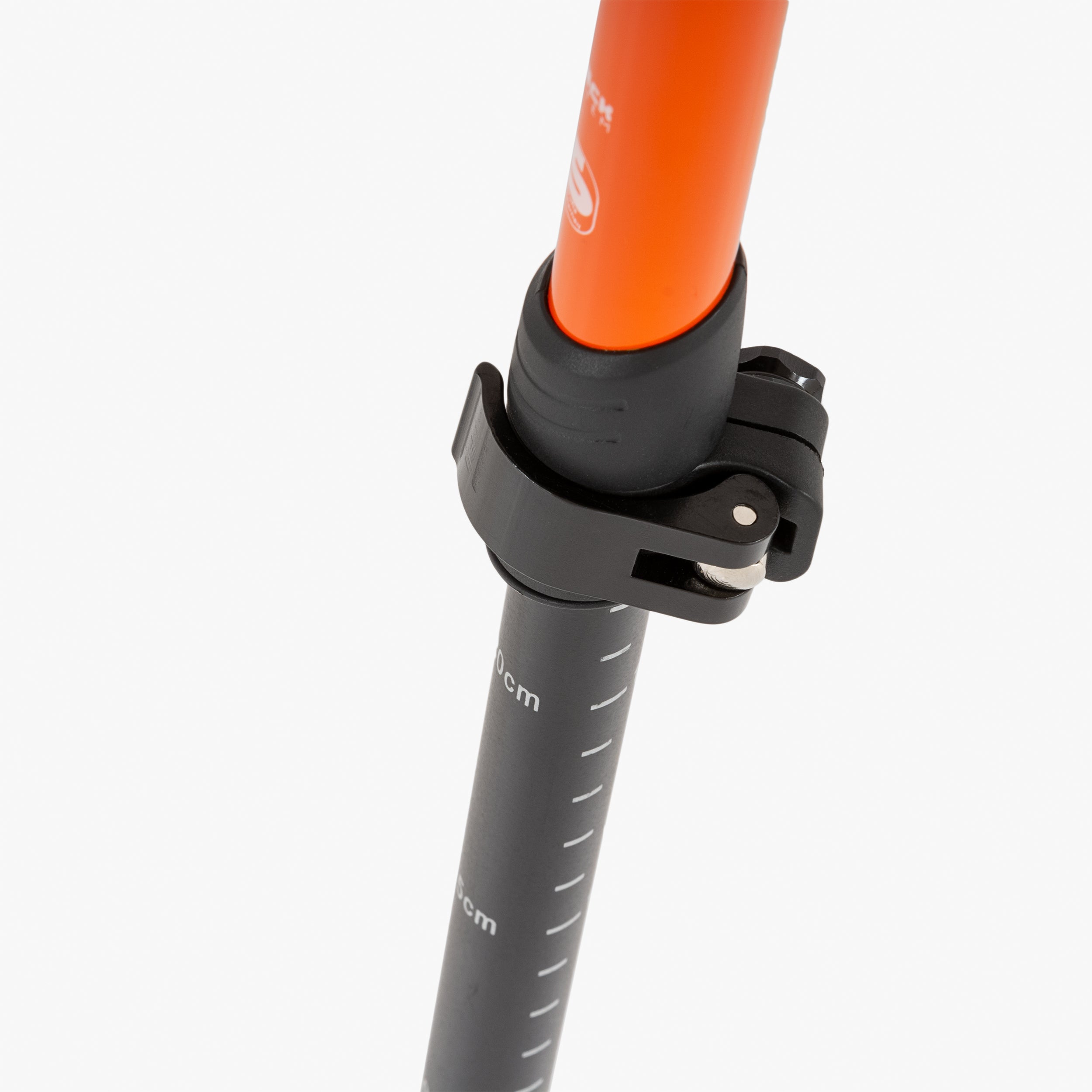 Highlander - Isle of Tiree Walking Stick