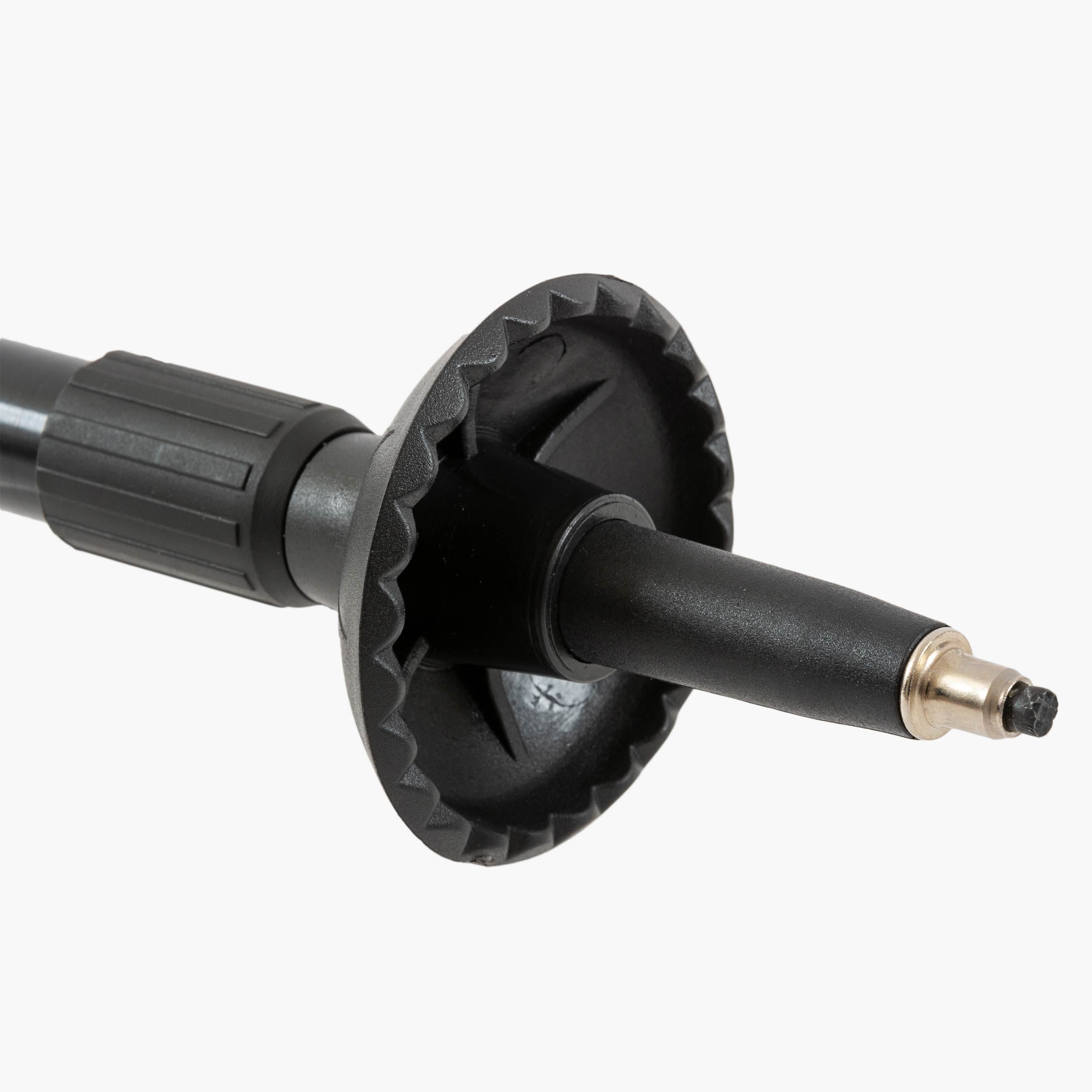 Highlander - Isle of Raasay Walking Rod